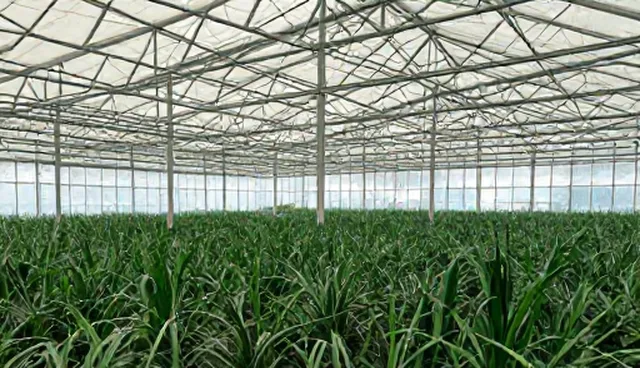 品牌宣传片制作中素材筛选与场景搭建的实践过程